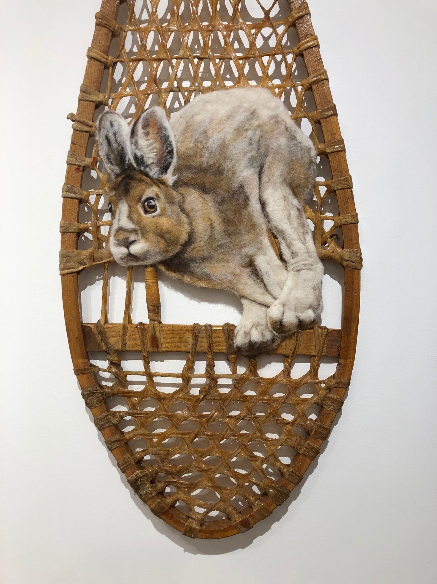 Snowshoe Hares