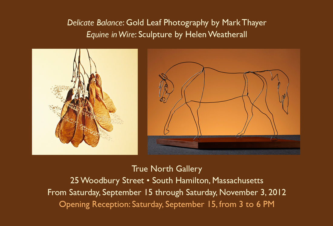 Two New Shows: "Delicate Balance" and "Equine in Wire"
