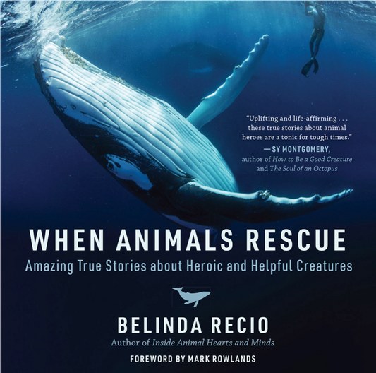 When Animals Rescue: Amazing True Stories about Heroic and Helpful Creatures by Belinda Recio